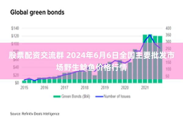 股票配资交流群 2024年6月6日全国主要批发市场野生鲶鱼价格行情