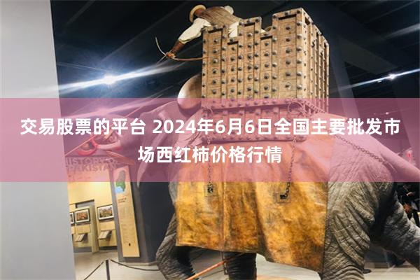 交易股票的平台 2024年6月6日全国主要批发市场西红柿价格行情