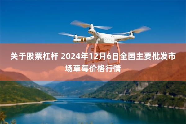 关于股票杠杆 2024年12月6日全国主要批发市场草莓价格行情