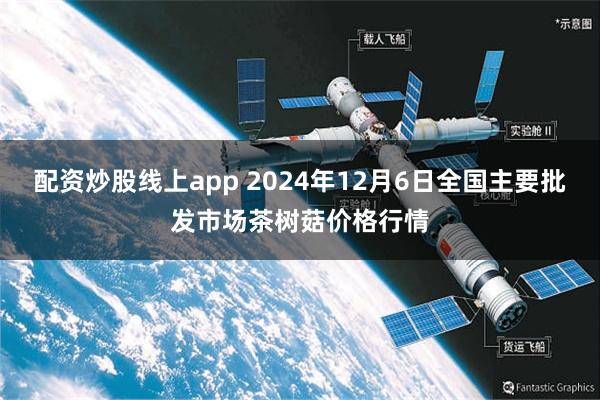 配资炒股线上app 2024年12月6日全国主要批发市场茶树菇价格行情