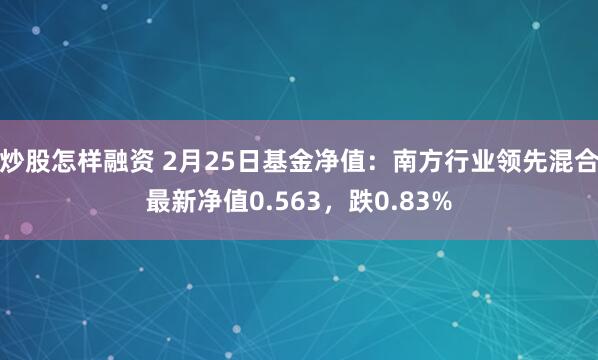 炒股怎样融资 2月25日基金净值：南方行业领先混合最新净值0.563，跌0.83%