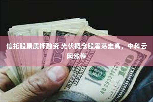 信托股票质押融资 光伏概念股震荡走高，中科云网涨停