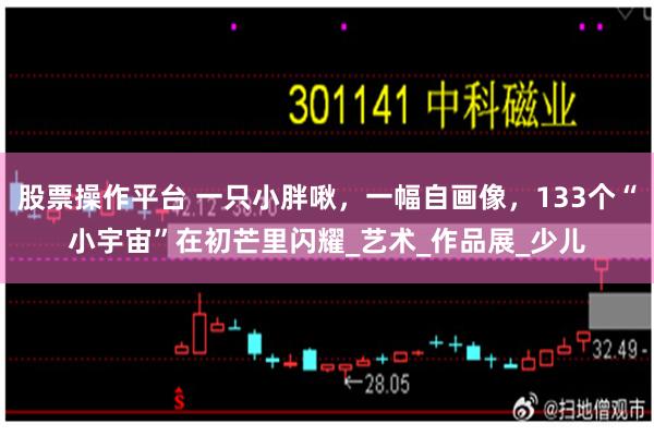   股票操作平台 一只小胖啾，一幅自画像，133个“小宇宙”在初芒里闪耀_艺术_作品展_少儿